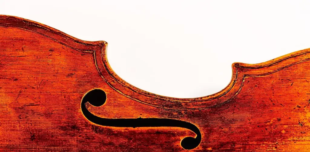 Styginiai instrumentai ir strykai